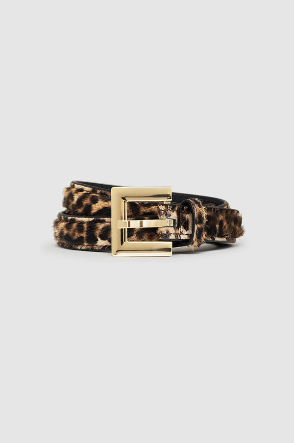 Nicola Belt