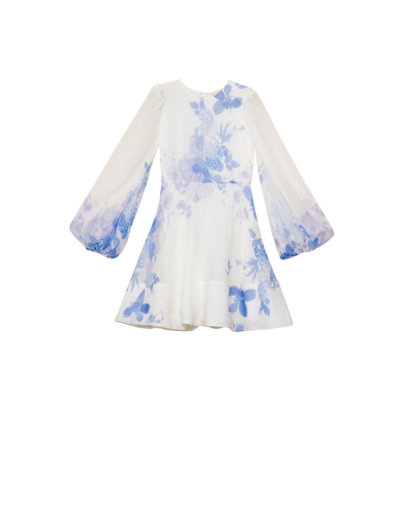 Organza Mini Dress