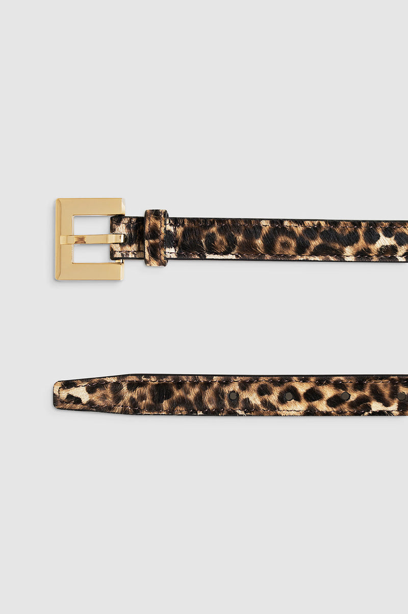 Nicola Belt