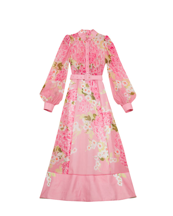 Organza Belt Dress