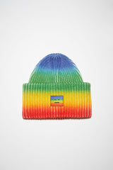 Rainbow Ribbed Beanie Hat
